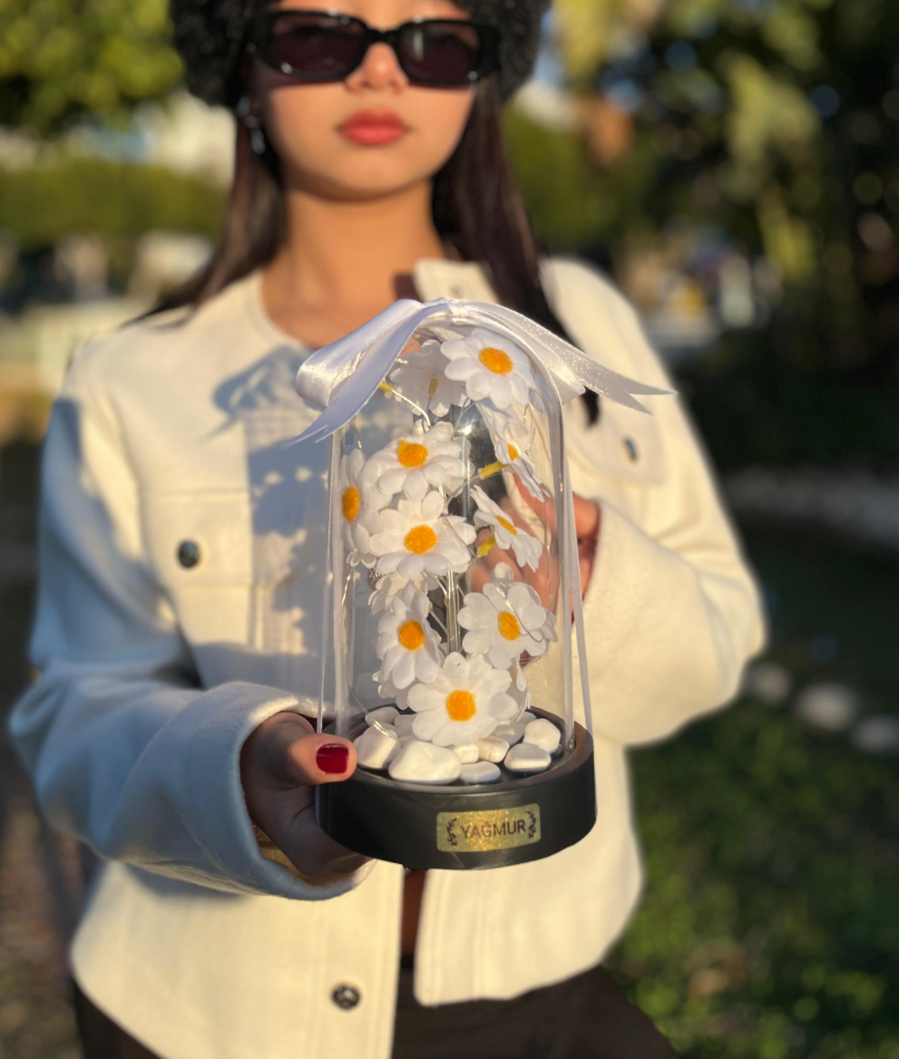 Kişiye Özel Işıklı Papatya Fanusu