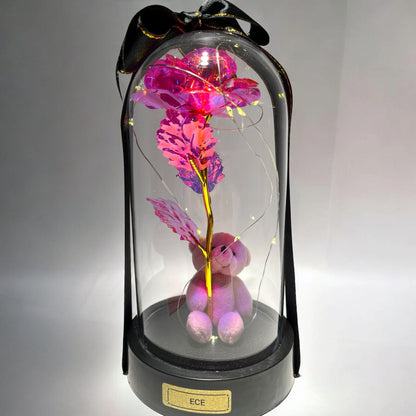 Kişiye Özel Işıklı Aşk Fanusu