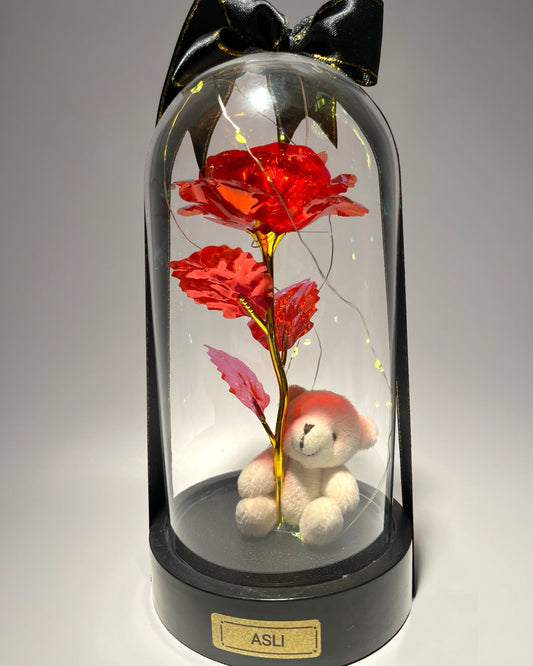 Kişiye Özel Işıklı Aşk Fanusu