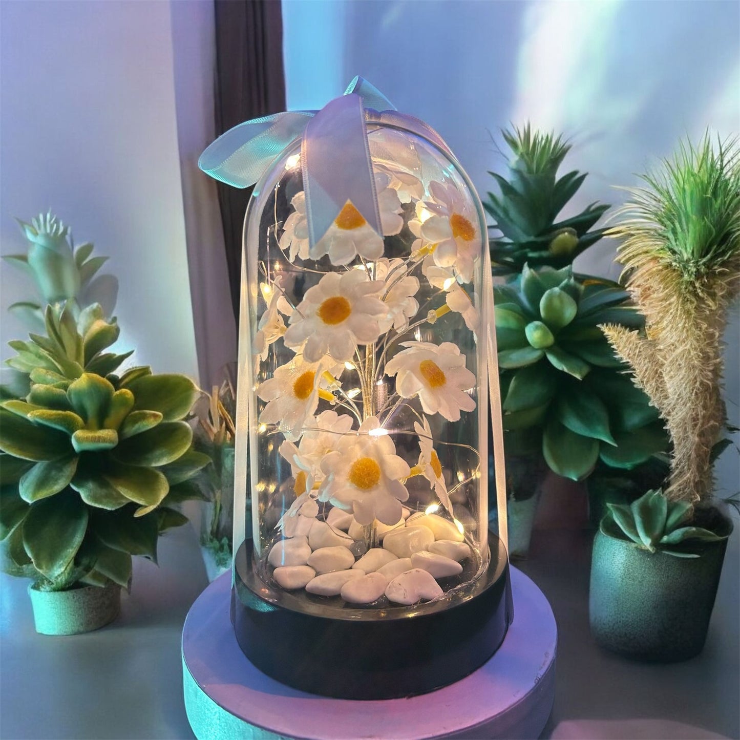 Kişiye Özel Işıklı Papatya Fanusu