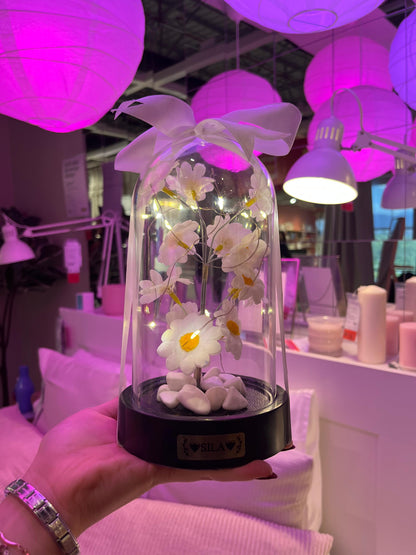 Kişiye Özel Işıklı Papatya Fanusu